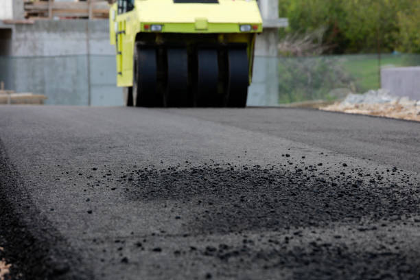 Best Local Driveway Pavers  in Riva, MD
