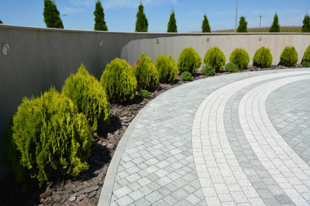 Best Driveway Paving Near Me  in Riva, MD